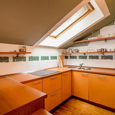 Papagaj Daire